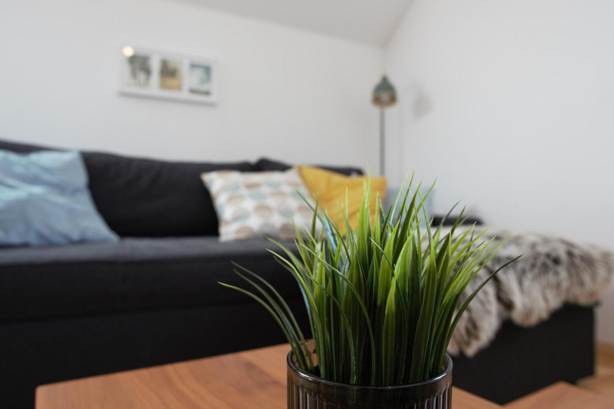 Domen'S Cozy Rentals Kranj Exterior photo